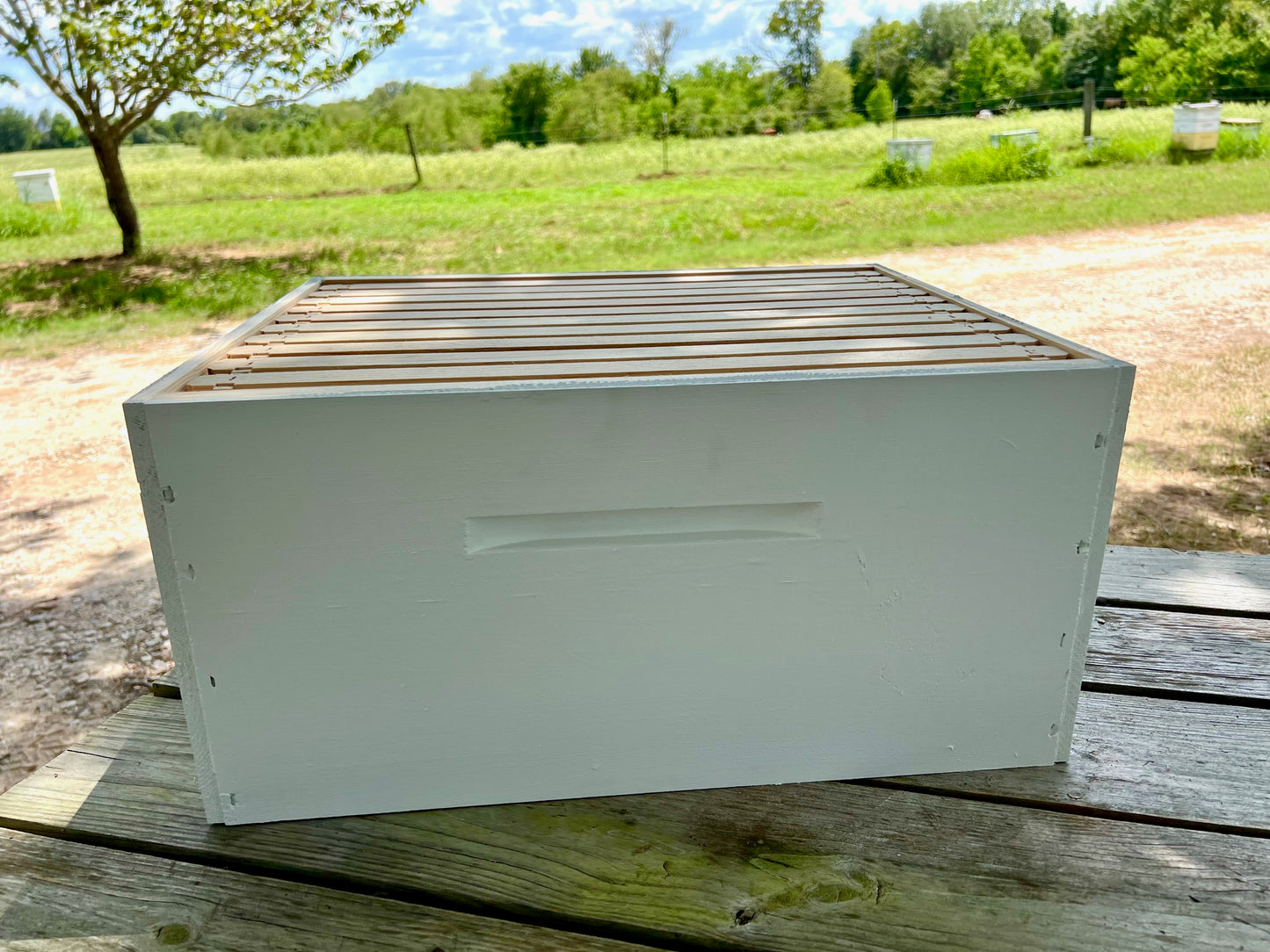 deep hive body with frames and foundation